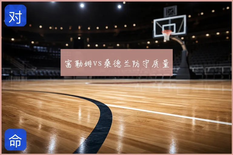 富勒姆vs桑德兰防守质量